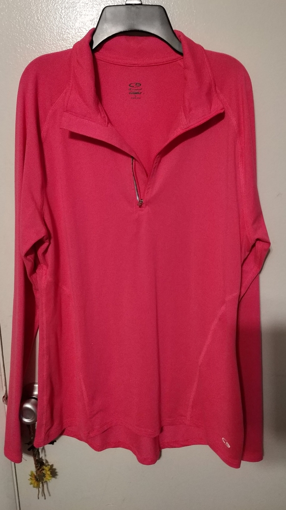 Women's Champion pullover long sleeve Sz Lg